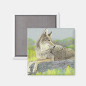 Magnet de coyote (Recto/Verso)