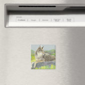 Magnet de coyote (In Situ (Lave-vaisselle))