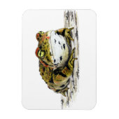 Magnet de crapaud de l'Ouest (Vertical)