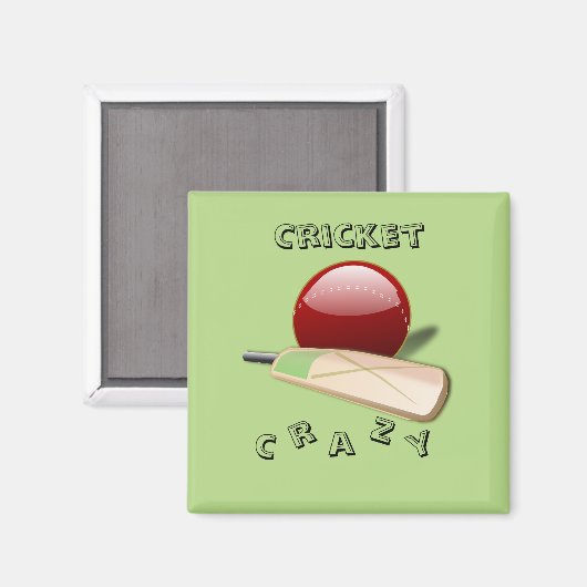 Magnet de cricket (Recto/Verso)