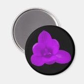 Magnet de crocus pourpre (Recto/Verso)
