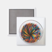 Magnet de cure-dents de couleur (Recto/Verso)