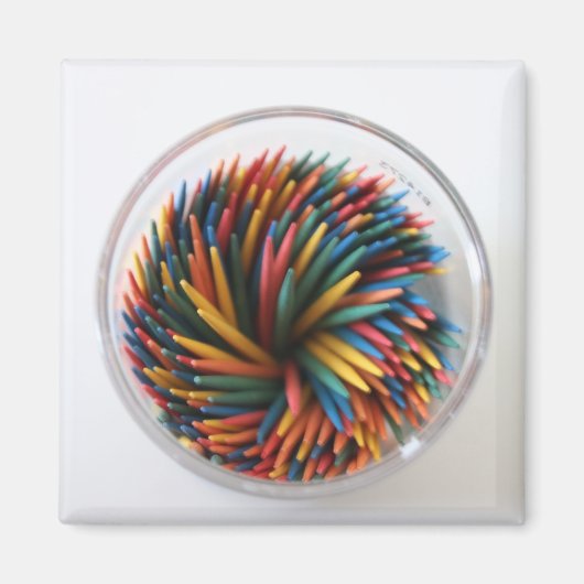 Magnet de cure-dents de couleur (Devant)