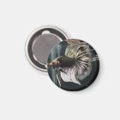 Magnet de Dalmatie noire (Recto/Verso)