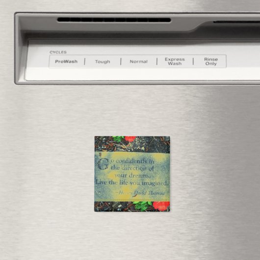 Magnet de devis Thoreau (In Situ (Lave-vaisselle))