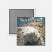 Magnet de dragon à oreilles (Recto/Verso)