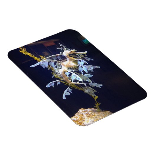 Magnet de dragon feuillus (Côté Droit)