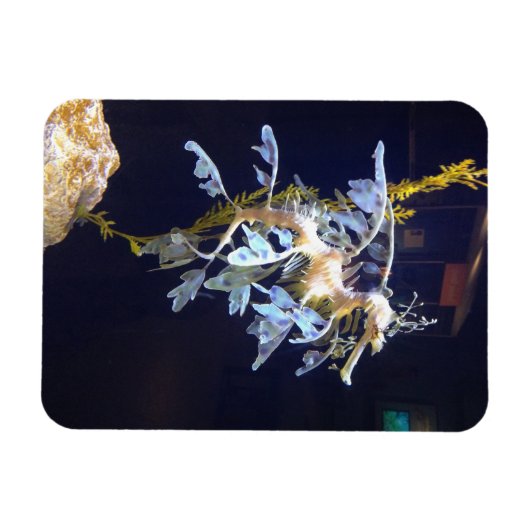 Magnet de dragon feuillus (Horizontal)