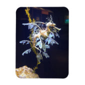 Magnet de dragon feuillus (Vertical)