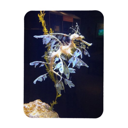 Magnet de dragon feuillus (Vertical)