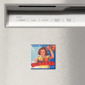 Magnet de Étiquette Vintage de faisceau de soleil (In Situ (Lave-vaisselle))