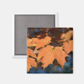 Magnet de feuilles d'automne (Recto/Verso)