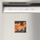 Magnet de feuilles d'automne (In Situ (Lave-vaisselle))