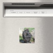 Magnet de fixation de Gorilla (In Situ (Lave-vaisselle))