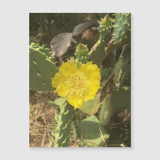 Magnet de fleur de cactus