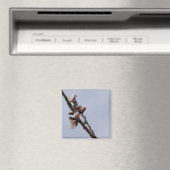 Magnet de fleurs (In Situ (Lave-vaisselle))