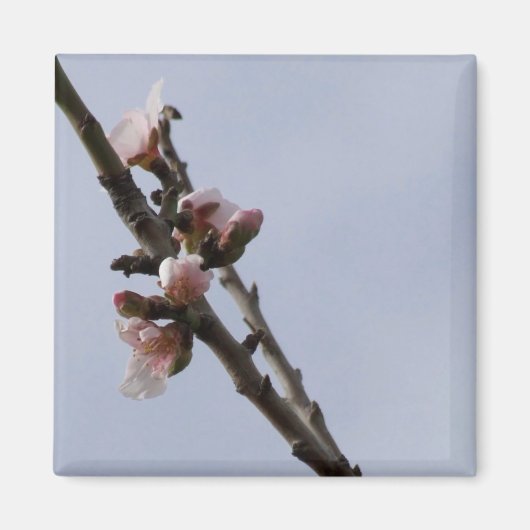 Magnet de fleurs (Devant)