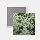 Magnet de fleurs d'airelles (Recto/Verso)