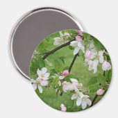 Magnet de fleurs d'Apple (Recto/Verso)