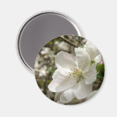 Magnet de fleurs d'Apple (Recto/Verso)
