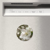 Magnet de fleurs d'Apple (In Situ (Lave-vaisselle))