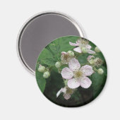 Magnet de fleurs de Blackberry (Recto/Verso)