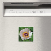 Magnet de fleurs de Paeonia (In Situ (Lave-vaisselle))