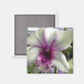 Magnet de fleurs d'orchidée (Recto/Verso)