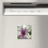 Magnet de fleurs d'orchidée (In Situ (Lave-vaisselle))