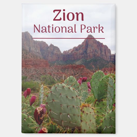 Magnet de fleurs du parc national de Zion (Recto)