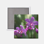 Magnet de fleurs tropicales violettes (Recto/Verso)