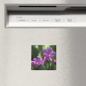 Magnet de fleurs tropicales violettes (In Situ (Lave-vaisselle))