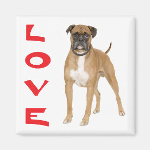 Magnet de frigidaire pour chien coquelicot