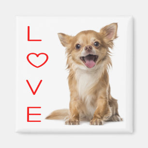 Magnet de frigo Chihuahua Puppy