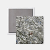 Magnet de frigo Mirabelle Blossom (Recto/Verso)