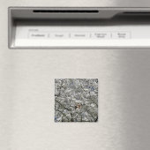 Magnet de frigo Mirabelle Blossom (In Situ (Lave-vaisselle))