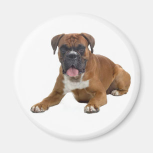 Magnet de frigo pour chien coquelicot