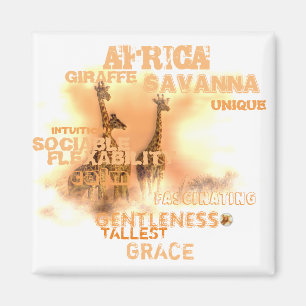 Magnet de Giraffes Unique Carré de 2 pouces
