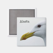 Magnet de goéland de l'Alaska (Recto/Verso)