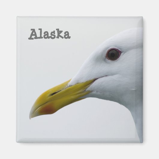 Magnet de goéland de l'Alaska (Devant)