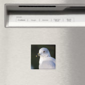 Magnet de goélands (In Situ (Lave-vaisselle))