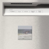 Magnet de goélands (In Situ (Lave-vaisselle))