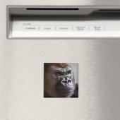 Magnet de Gorilla Silverback (In Situ (Lave-vaisselle))