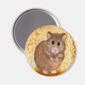 Magnet de hamster gras mou (Recto/Verso)