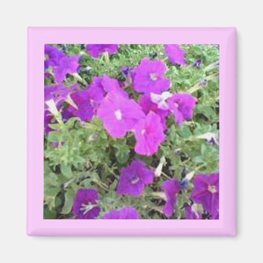 Magnet de jardin de fleurs (Devant)