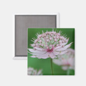 Magnet de jardin rose (Recto/Verso)