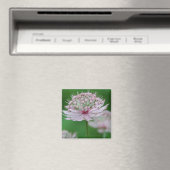 Magnet de jardin rose (In Situ (Lave-vaisselle))