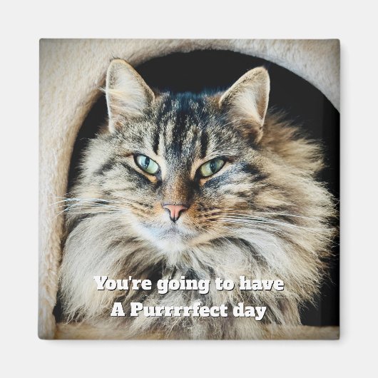 Magnet de jour parfait (Devant)