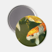 Magnet de Koi Carp (Recto/Verso)