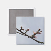 Magnet de la branche de fleur (Recto/Verso)